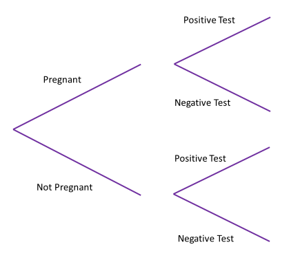 Probability tree. The first choice is pregnant or not pregnant; the second is positive test or negative test