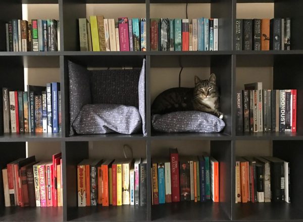 A cat sat on a shelf in a bookcase, surrounded by books