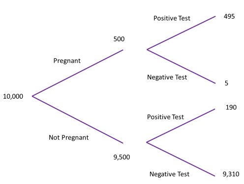 Probability tree. 10,000 people begin. 500 pregnant; of which 495 have a positive test and 5 a negative one. 9,500 people not pregnant, of which 190 have a positive test and 9,310 a negative one.