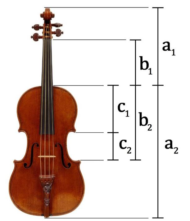 Image of a violin with sections labelled - the whole violin's height split at the top of the body (labelled a1 and a2), the height from the top of the next to the bottom of the side curve, split at the top of the body (labelled b1 and b2) and the distance from the top of the body to the bottom of the side curve, split at the top of the side curve (labelled c1 and c2).