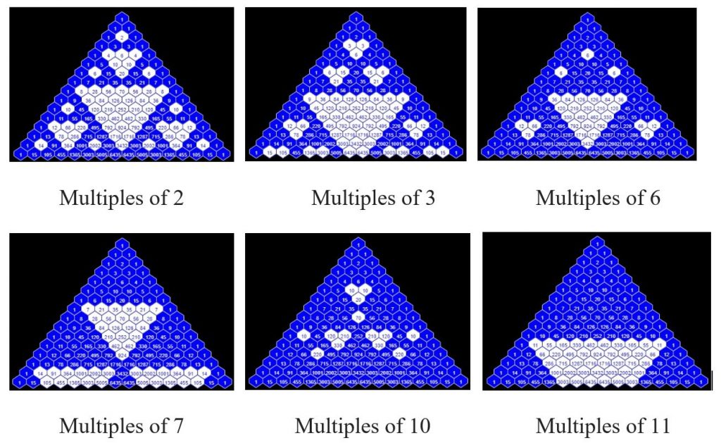 Diagrams showing Pascal's triangle, with numbers in hexagonal cells, with cells coloured as per their factors; in each of six diagrams, the multiples of 2, 3, 6, 7, 10 and 11 are shaded, and each gives a different pattern - all containing smaller triangles shaded the same colour