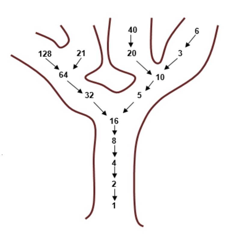 Image of a tree, with sequences of numbers merging together at the trunk. Branches are 128-64-32-16, 21-64-32-16, 40-20-10-5-16 and 6-3-10-5-16 with trunk reading 16-8-4-2-1 down to the base.