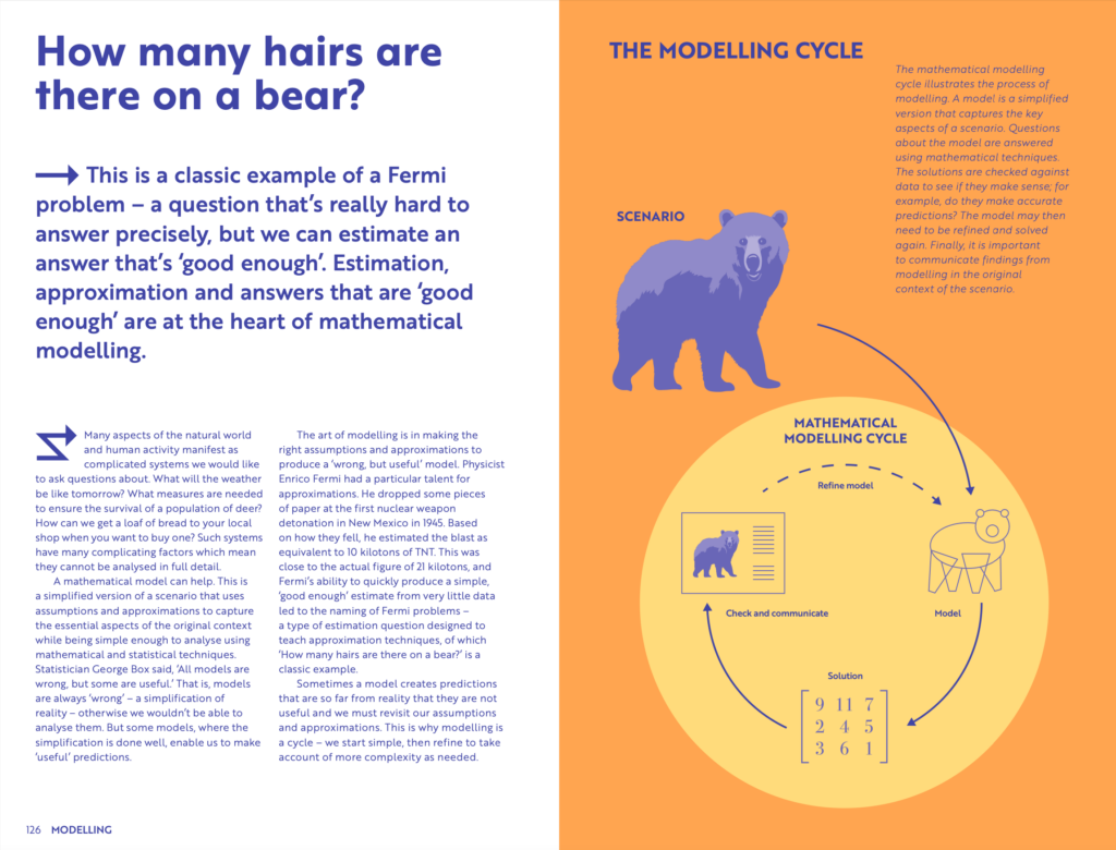 Image of the Modelling Cycle spread which is entitled 'How many hairs are there on a bear?' and has a lovely illustration of a bear