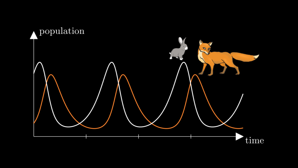 A plot showing population over time for rabbits and foxes. The graphs are periodic and the fox population always peaks slightly after the rabbit population.