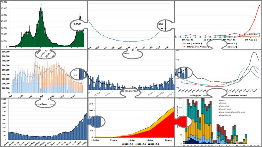 A jigsaw puzzle whose pieces are graphs of covid data.